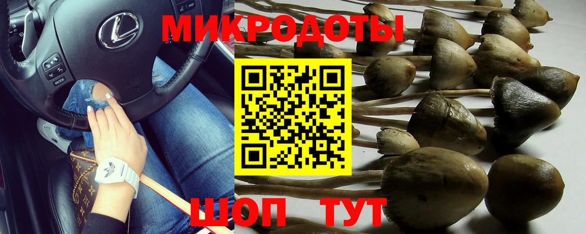 Сланцы  Псилоцибиновые грибы Cubensis  Галлюциногенные грибы прущие грибы  как найти   Вход с VPN 